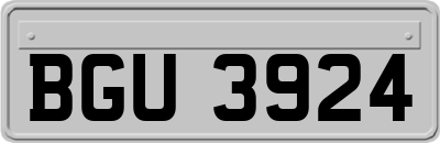 BGU3924