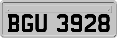 BGU3928