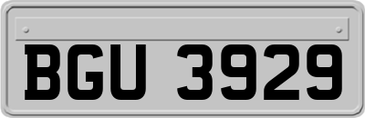 BGU3929