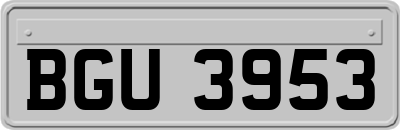 BGU3953
