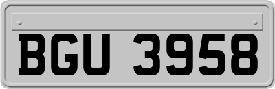 BGU3958
