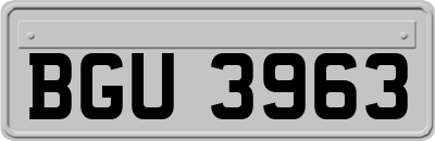 BGU3963