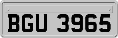 BGU3965