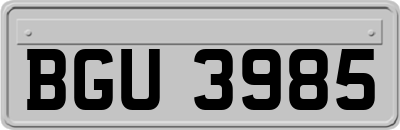 BGU3985