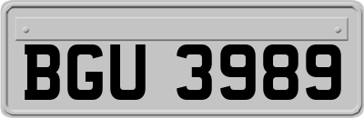 BGU3989