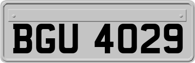 BGU4029