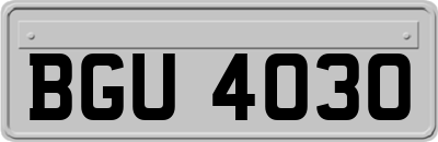 BGU4030