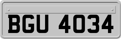 BGU4034