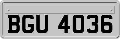 BGU4036