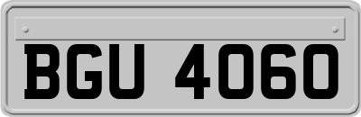 BGU4060