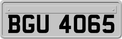 BGU4065