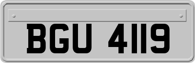 BGU4119