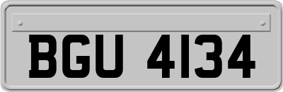 BGU4134