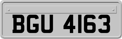 BGU4163