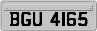BGU4165
