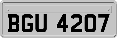BGU4207