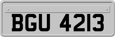 BGU4213