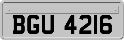 BGU4216