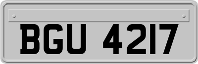 BGU4217