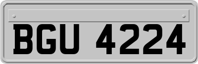 BGU4224
