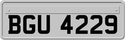 BGU4229