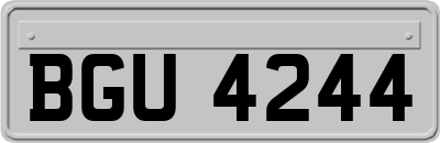 BGU4244
