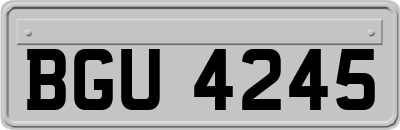 BGU4245