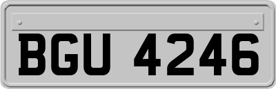 BGU4246