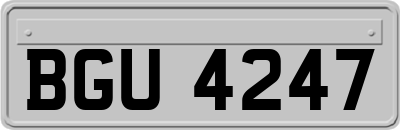 BGU4247