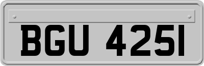 BGU4251