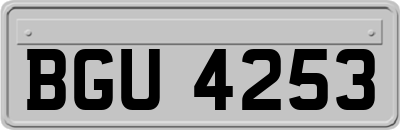 BGU4253