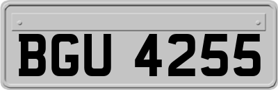 BGU4255