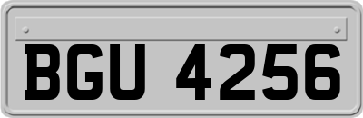 BGU4256