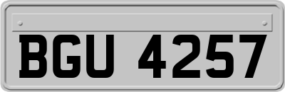 BGU4257