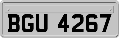 BGU4267