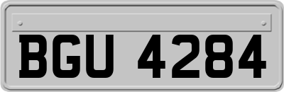 BGU4284