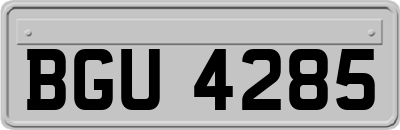 BGU4285