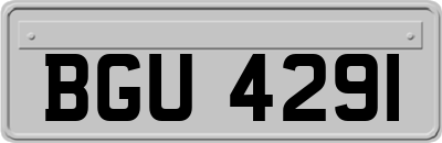 BGU4291