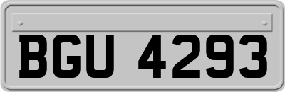 BGU4293