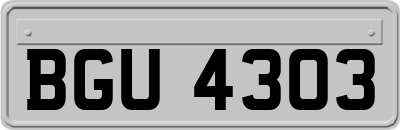 BGU4303