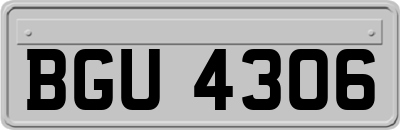 BGU4306