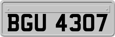 BGU4307