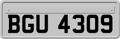 BGU4309