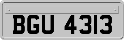 BGU4313