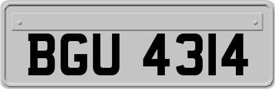 BGU4314