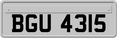 BGU4315