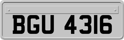 BGU4316