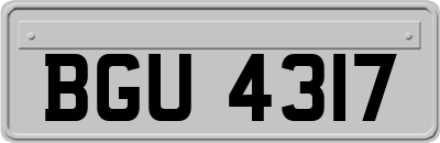 BGU4317