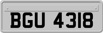 BGU4318