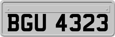 BGU4323